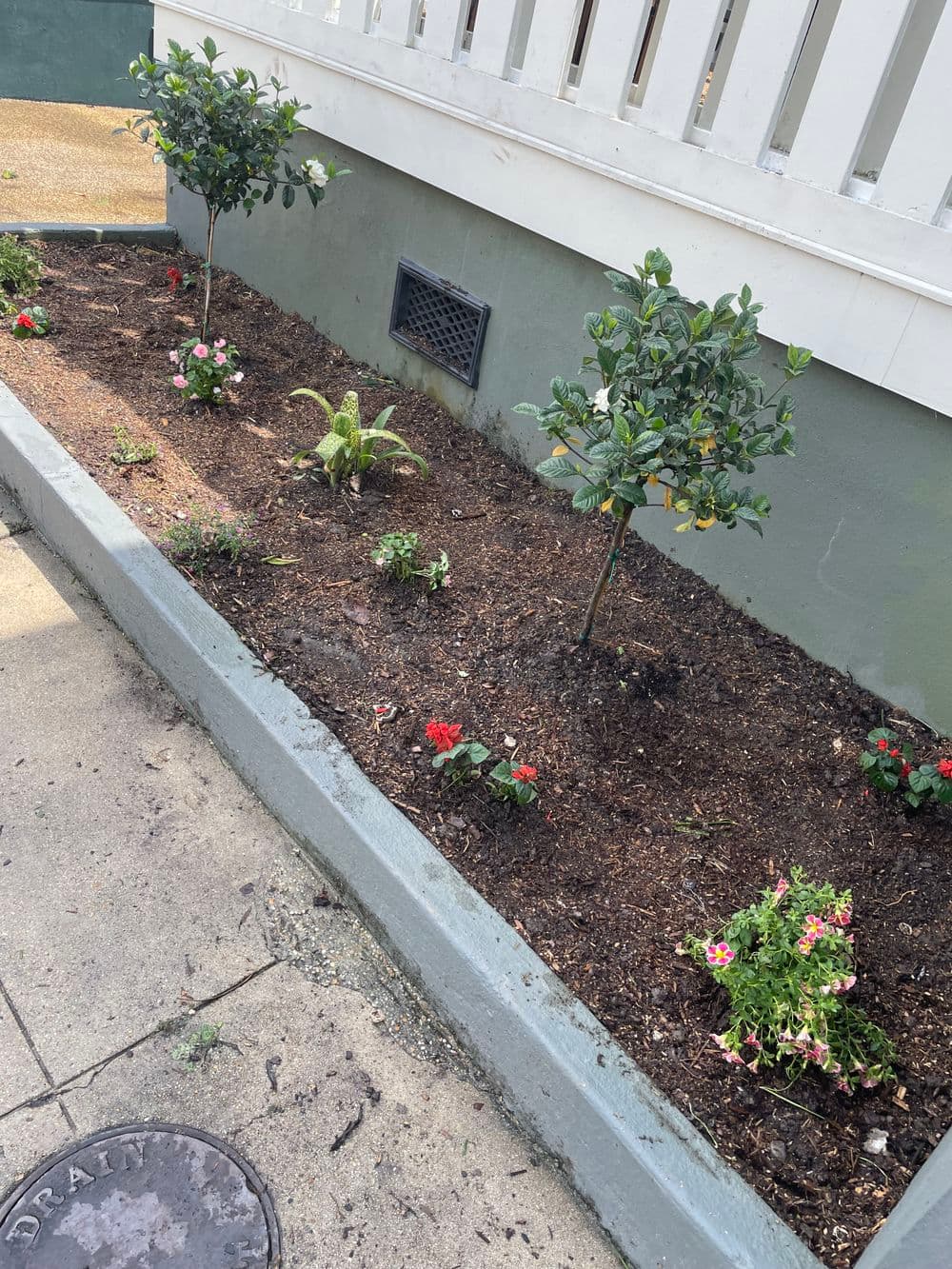 Flower bed with small trees, colorful flowers, and fresh mulch alongside a building.