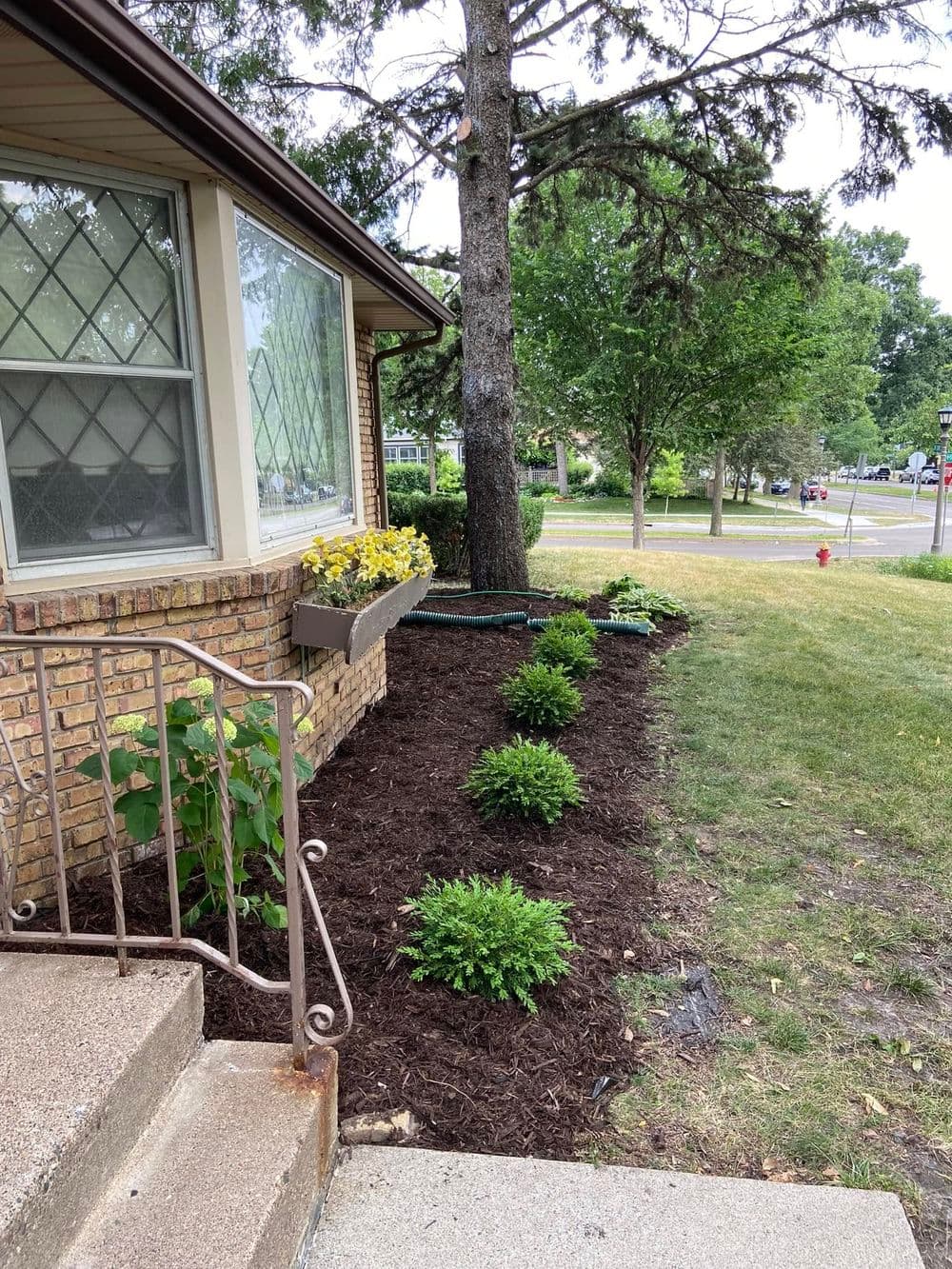 Well-maintained landscaping with mulched plants and flower boxes near a residential home.
